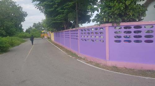 ทาสี 5